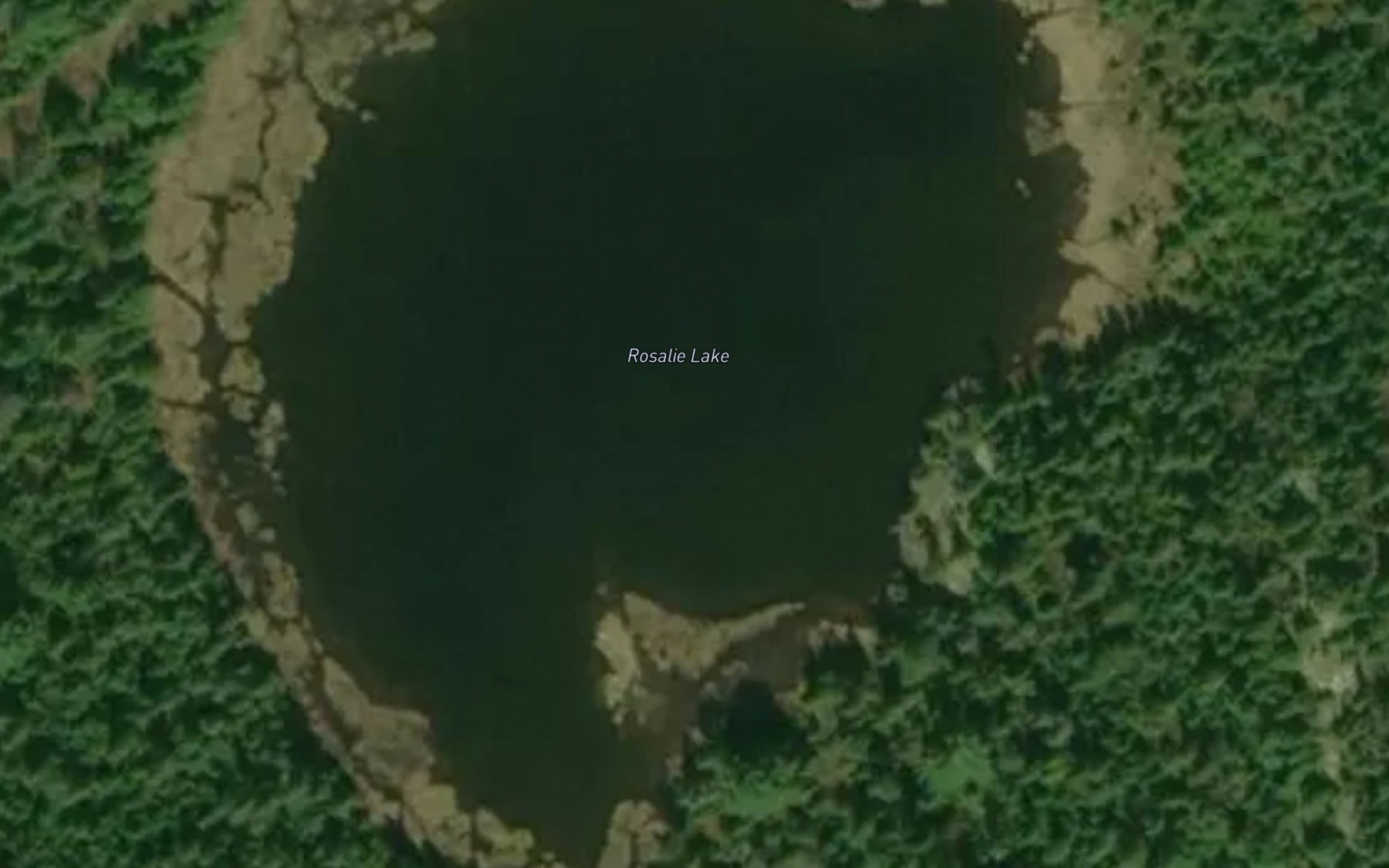 Satellite map of the Rosalie Lake