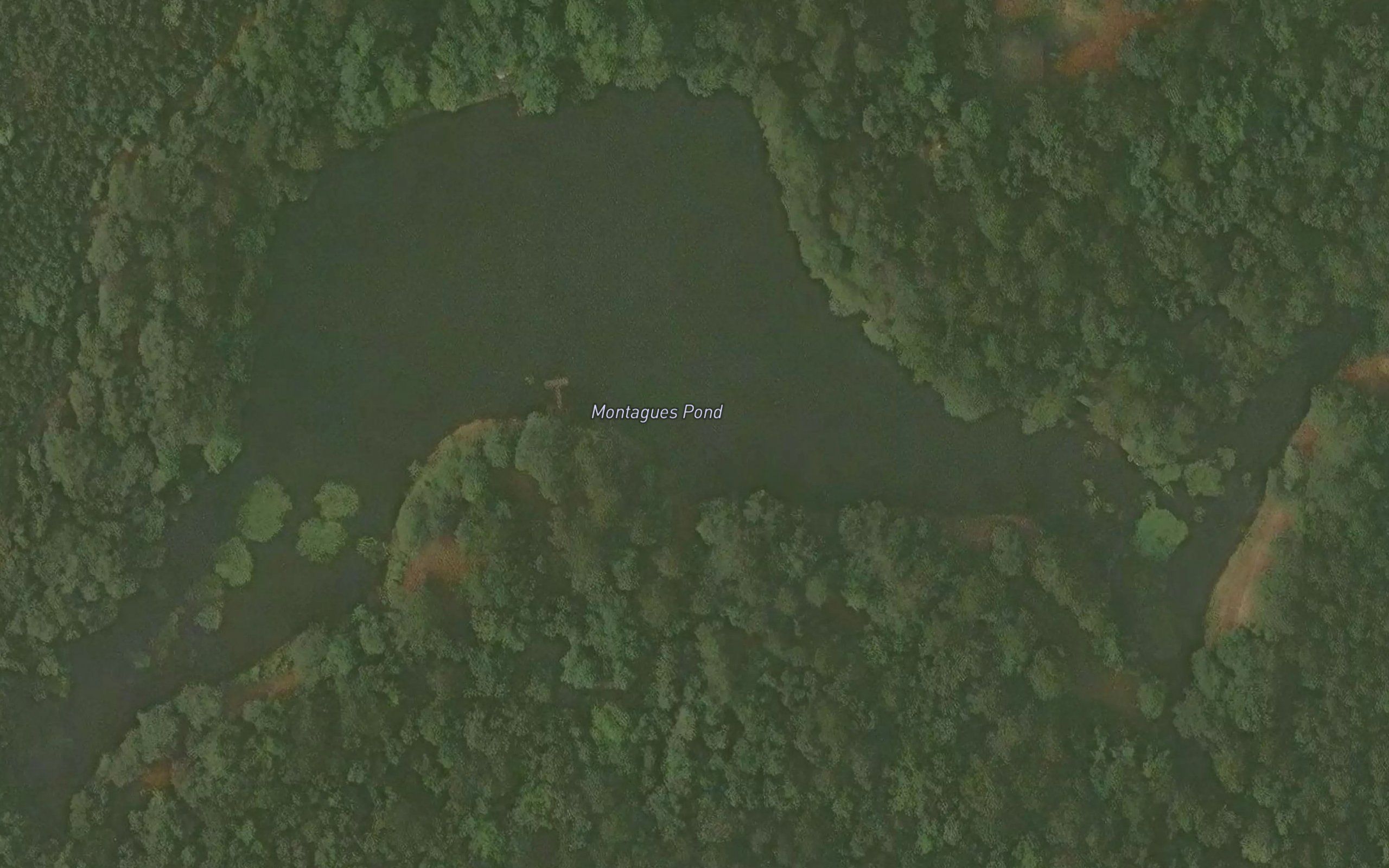 Montagues Pond