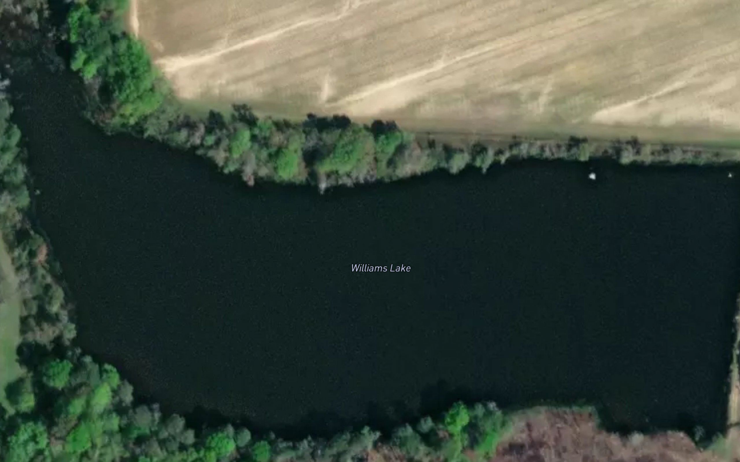 Williams Lake
