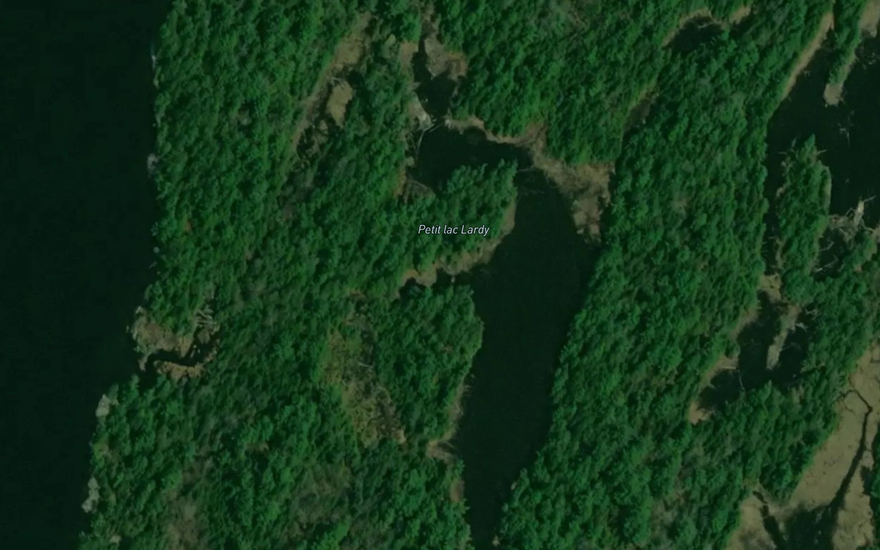 Satellite map of the Petit lac Lardy