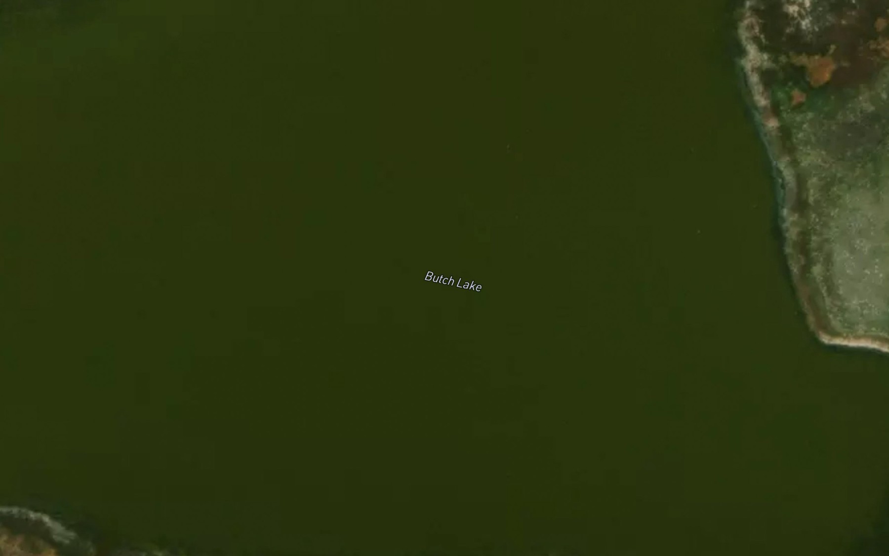 Satellite map of the Butch Lake