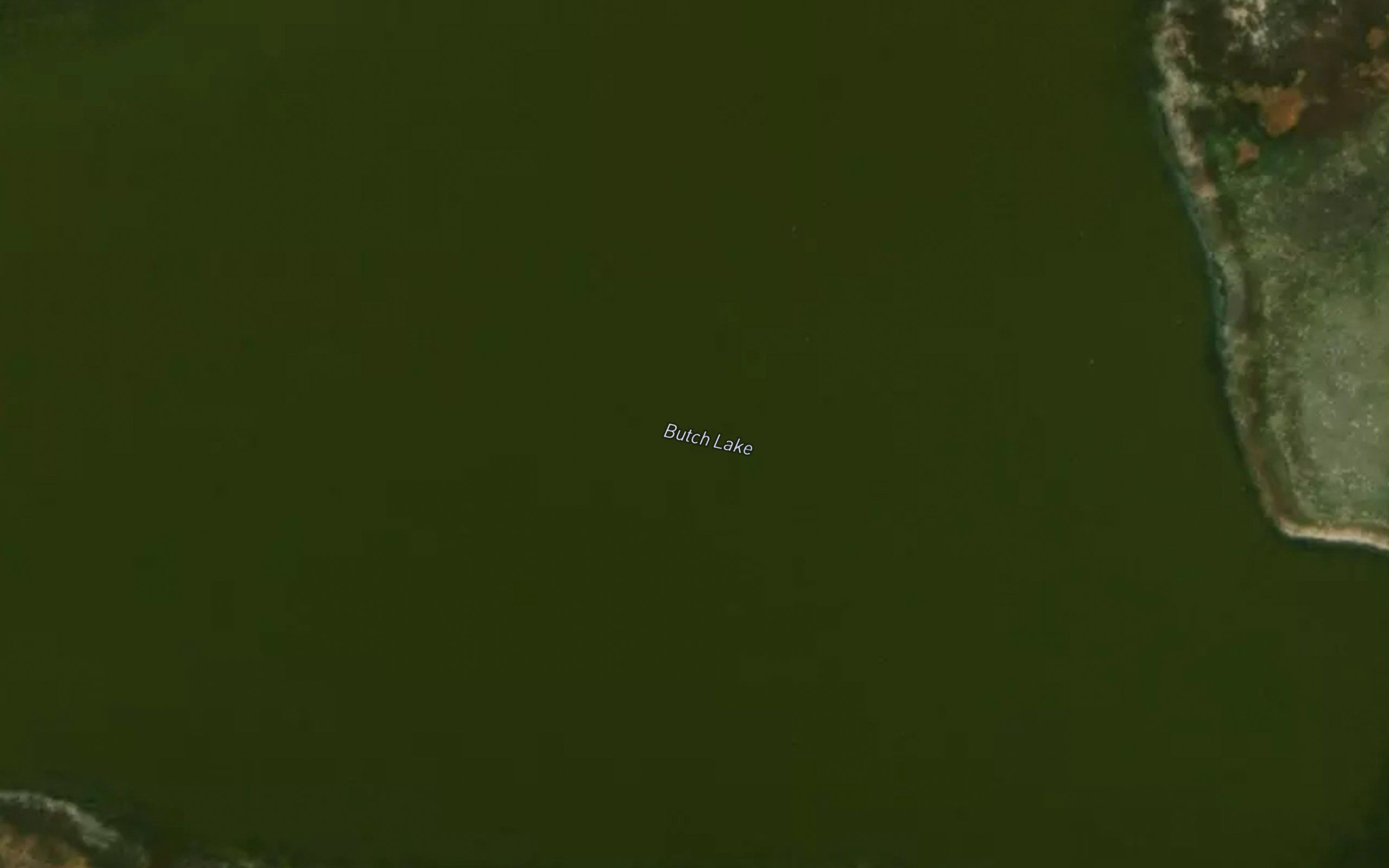 Butch Lake