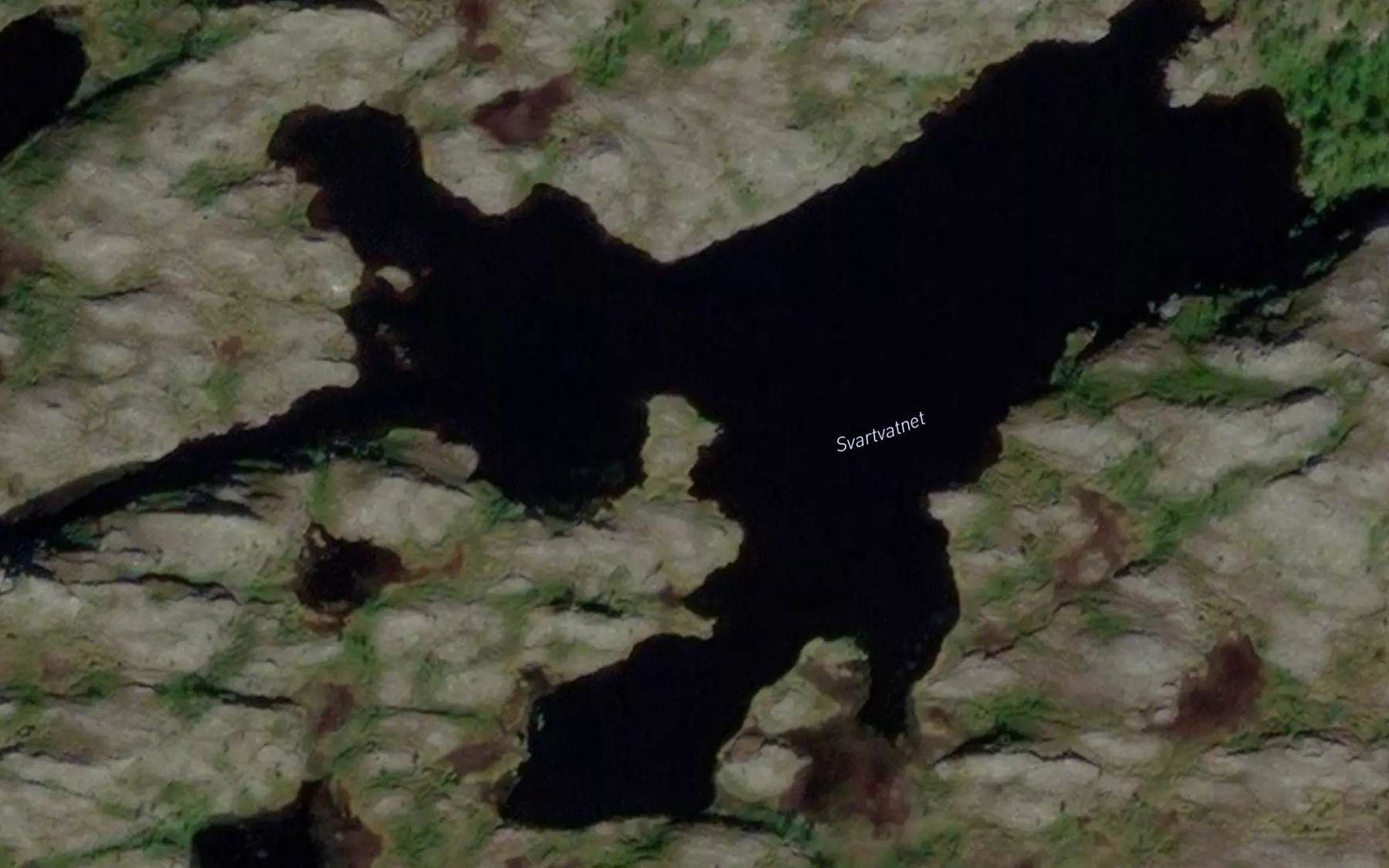 Satellite map of the Svartvatnet