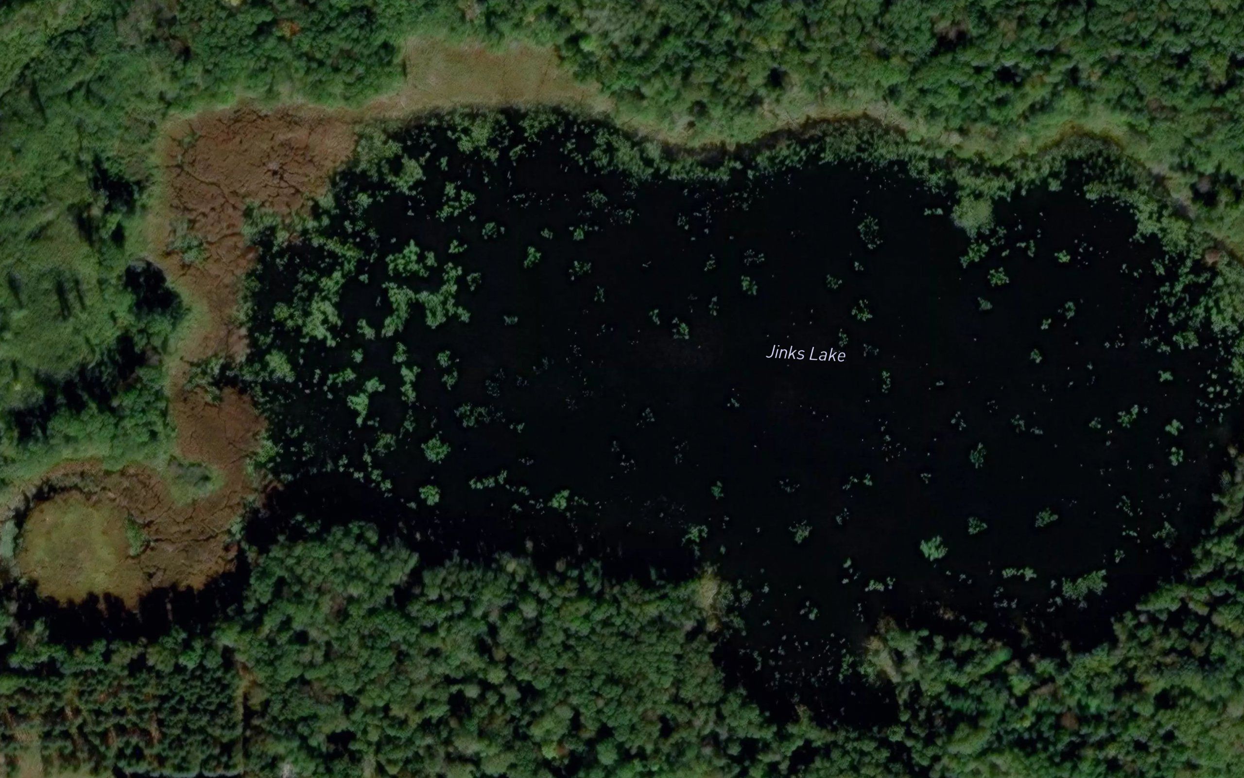 Jinks Lake