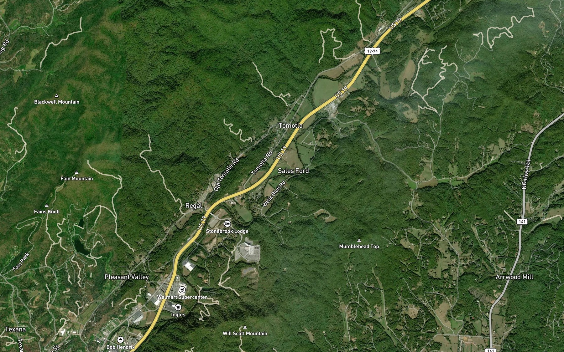 Satellite map of the Rattler Branch