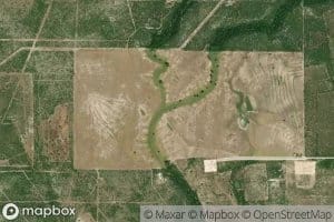 Elm Creek
