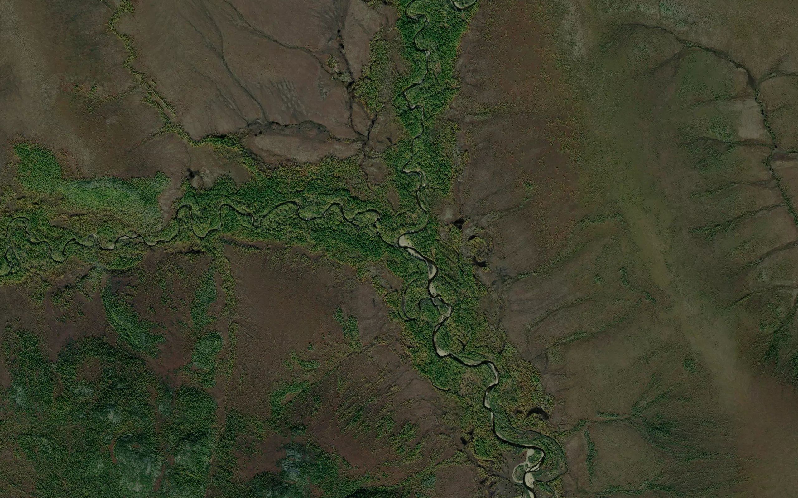 Vershnikovaya