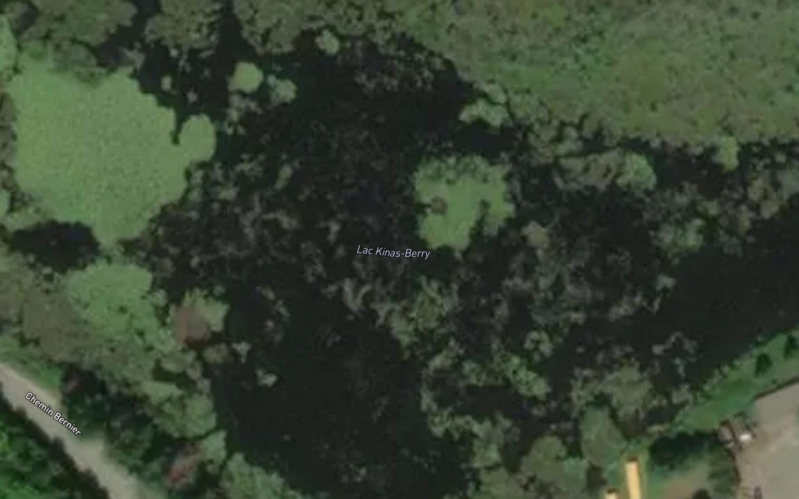 Lac Kingsberry