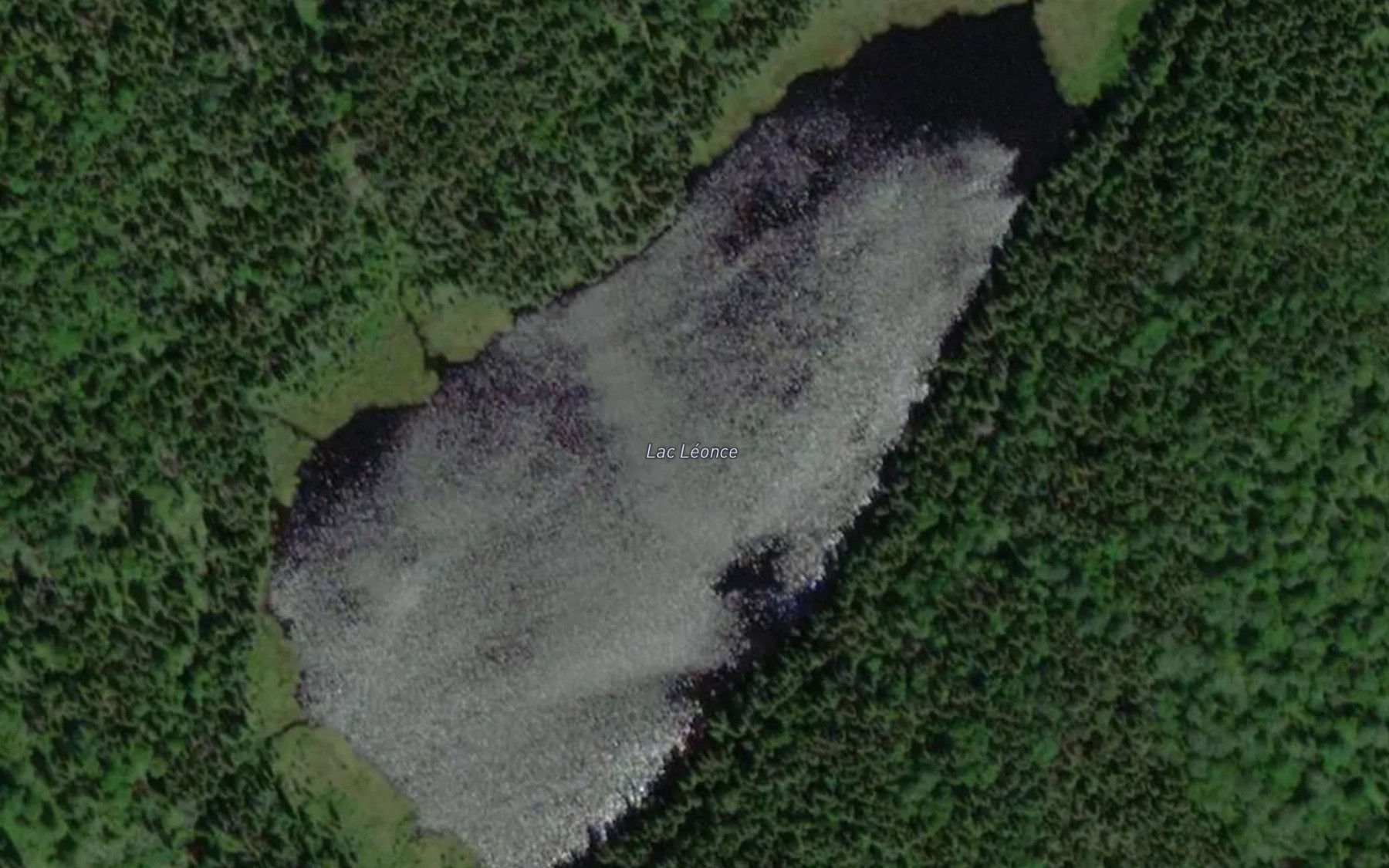 Satellite map of the Lac Leonce