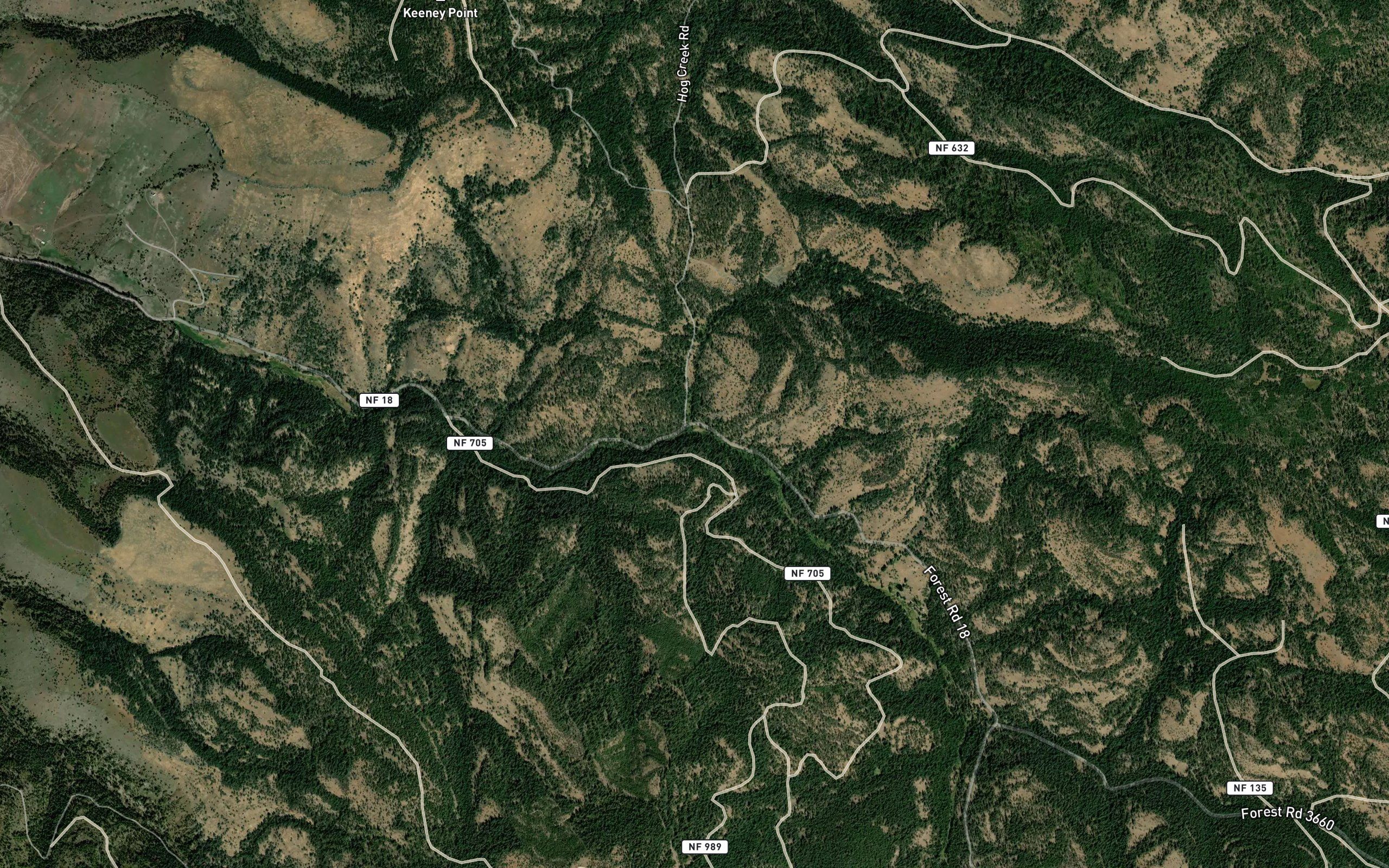 Hog Creek