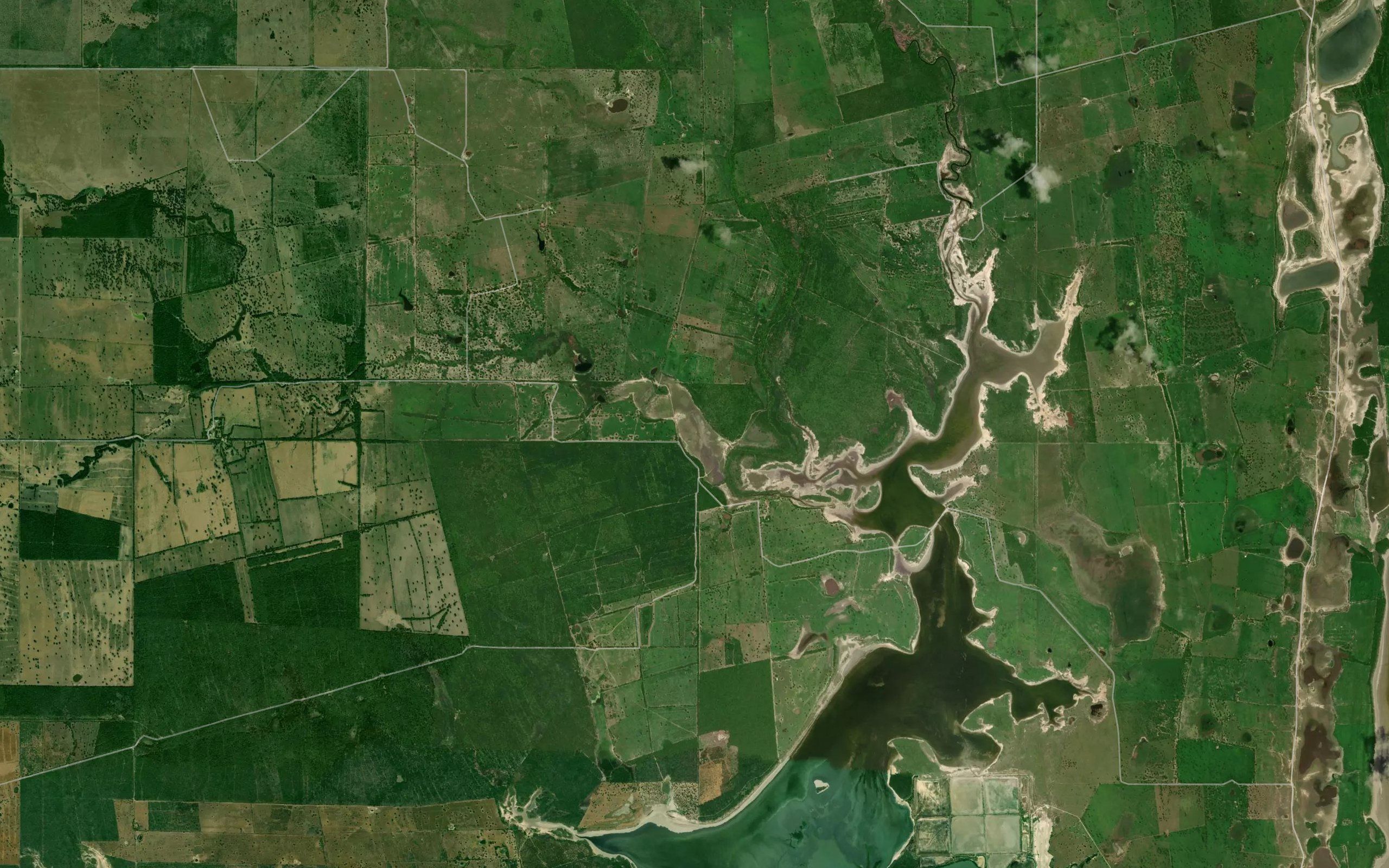 Laguna La Venada