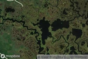 Collins Lower Tide Pond