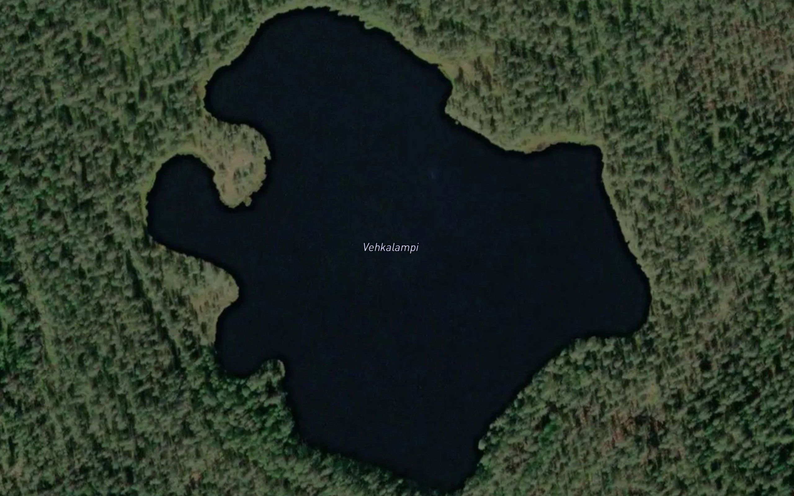 Vehkalampi