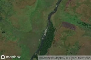 Wakonga