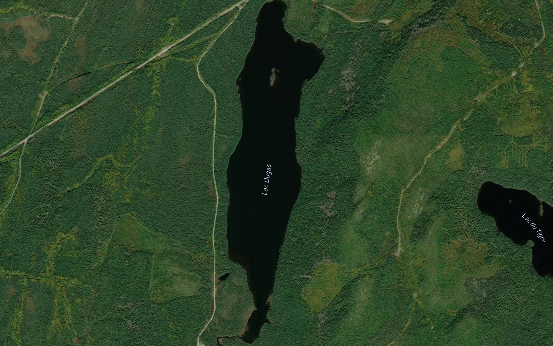 Satellite map of the Lac Dugas