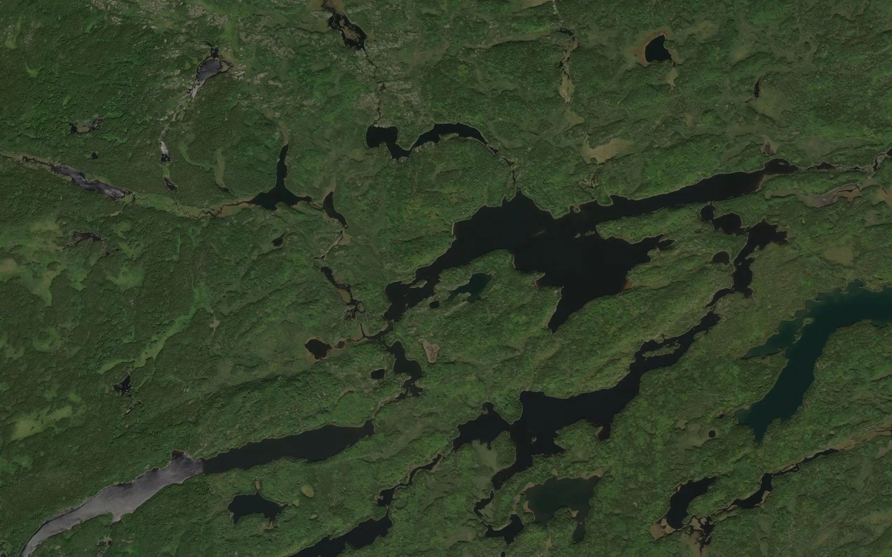 Satellite map of the Survey Creek