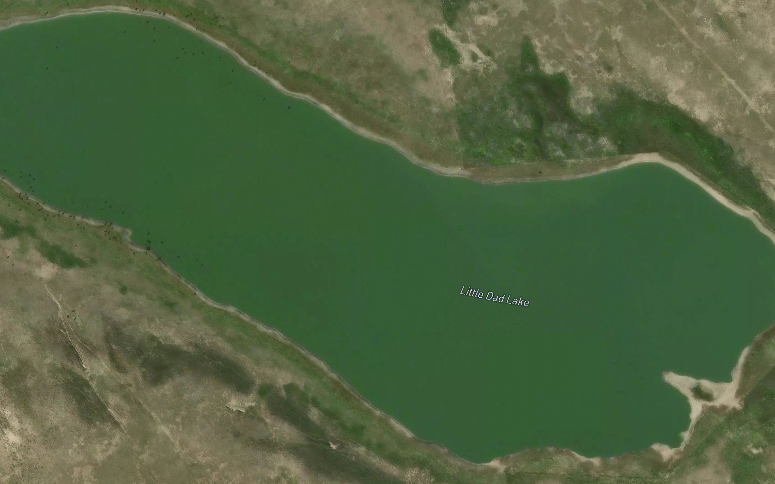 Little Dad Lake