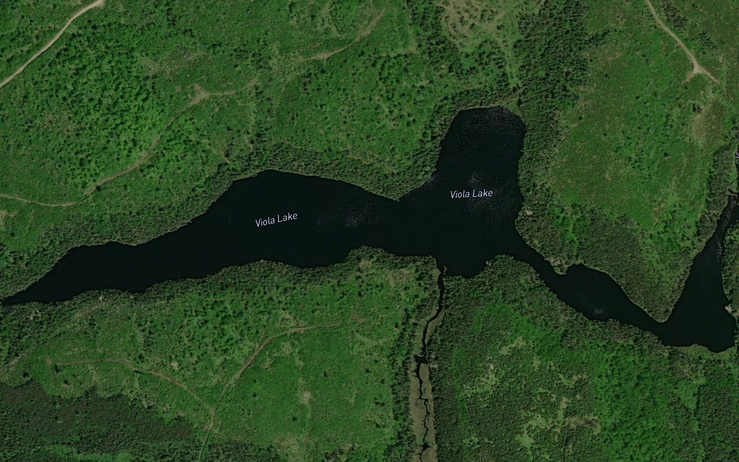 Viola Lake