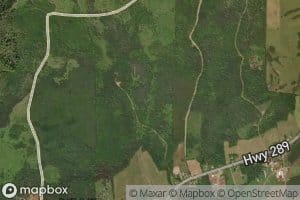Bear Brook