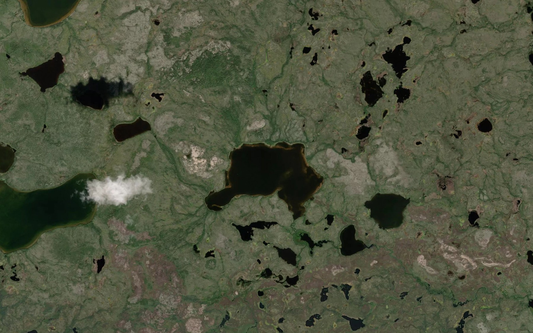 Satellite map of the Kucera Lake