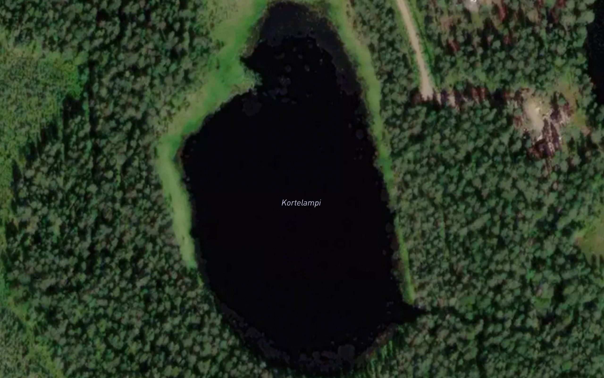 Kortelampi
