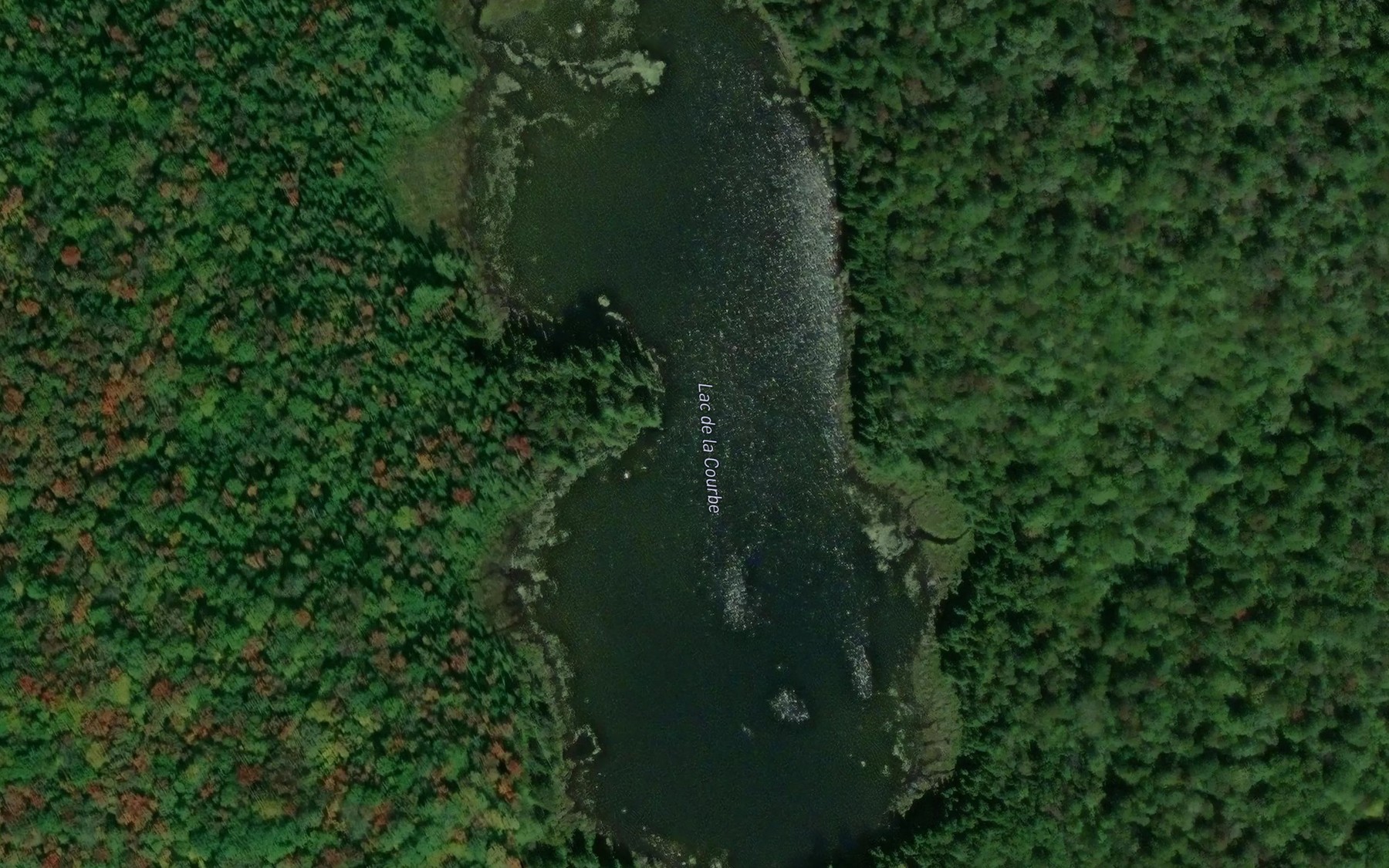 Satellite map of the Lac de la Courbe