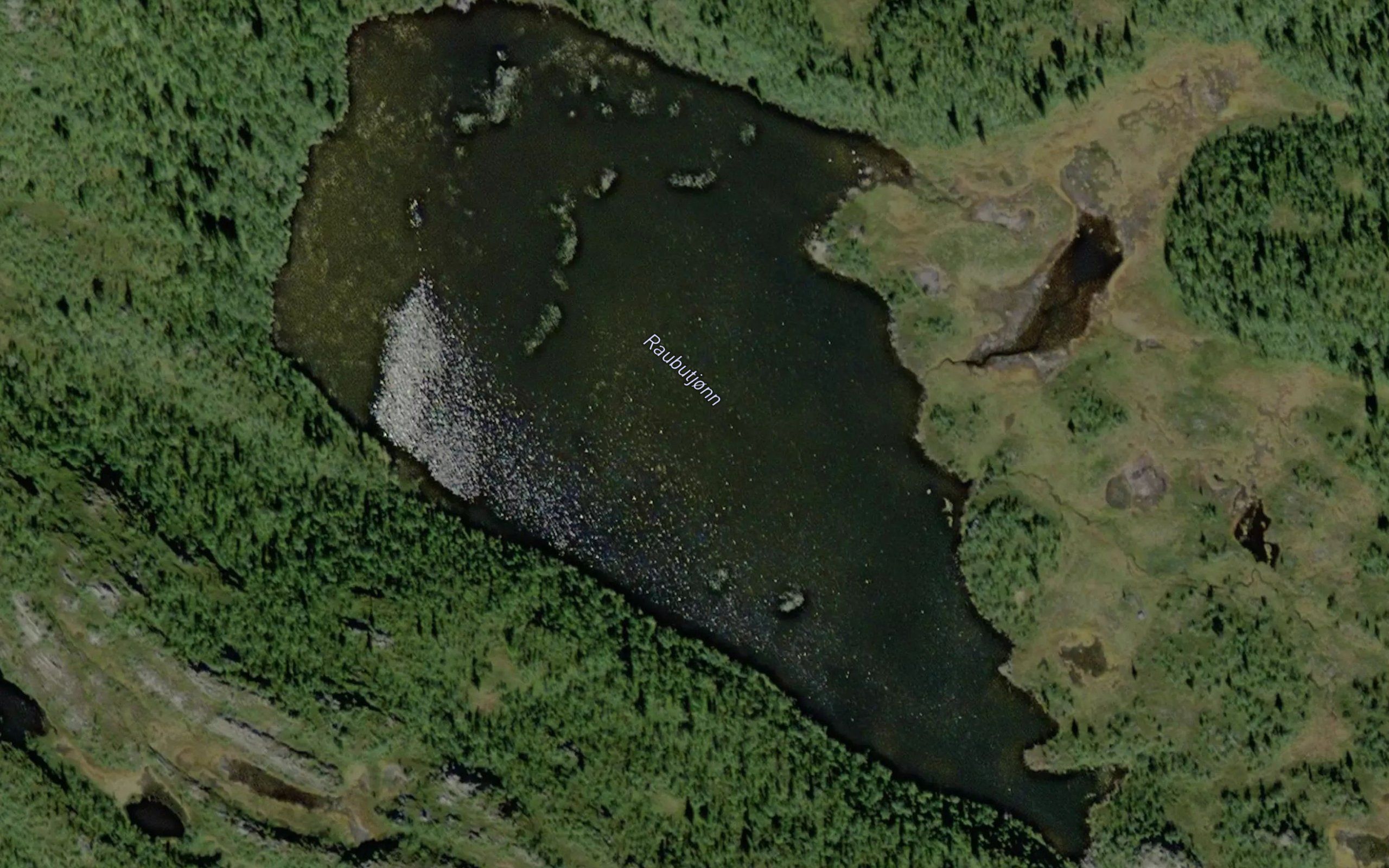 Raubutjonn