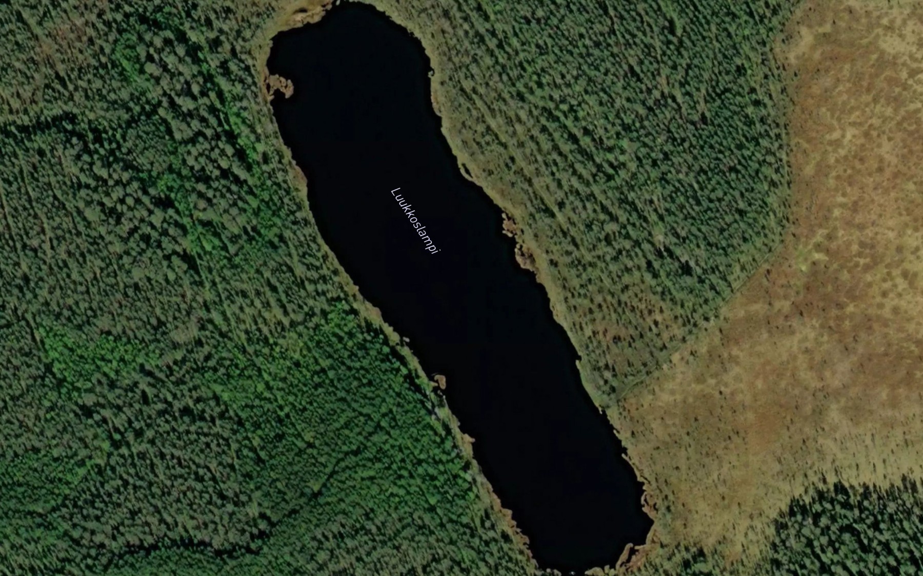 Satellite map of the Luukkoslampi