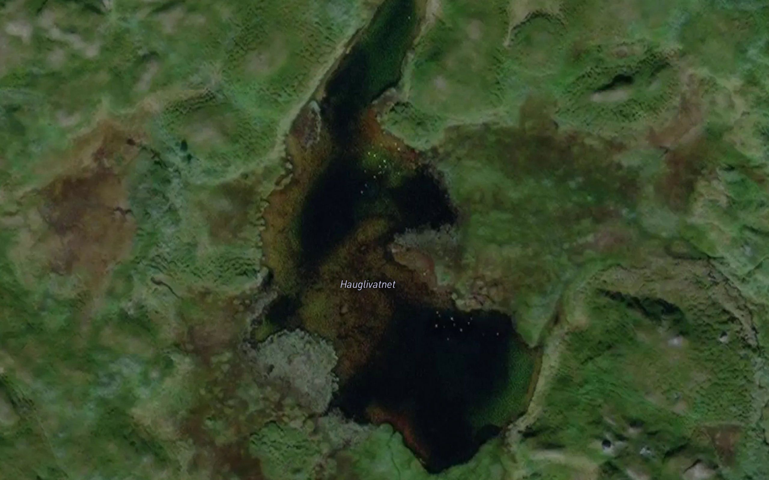 Hauglivatnet