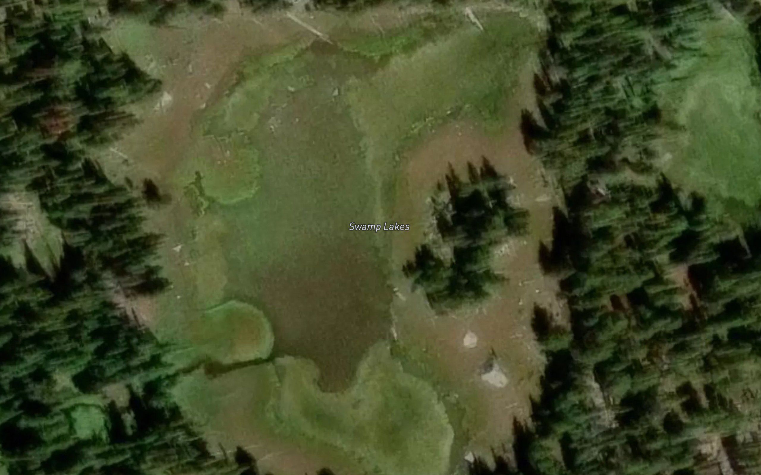 Swamp Lakes