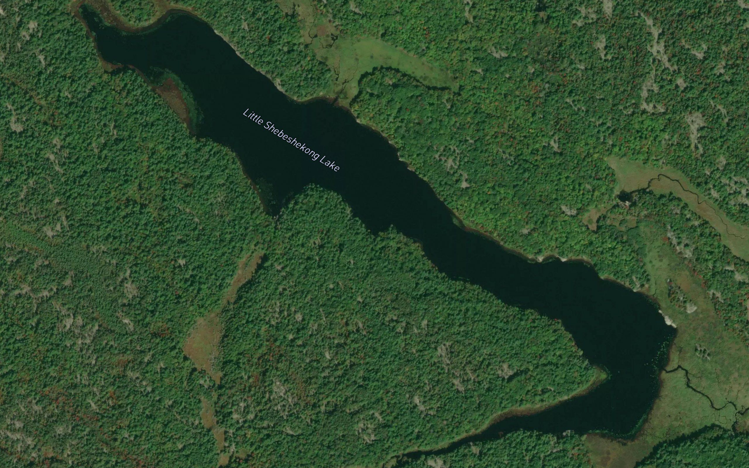 Little Shebeshekong Lake