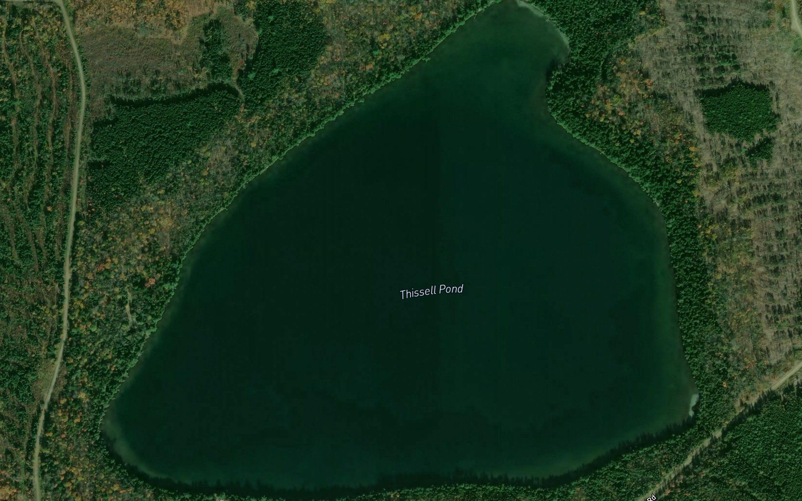 Thissell Pond