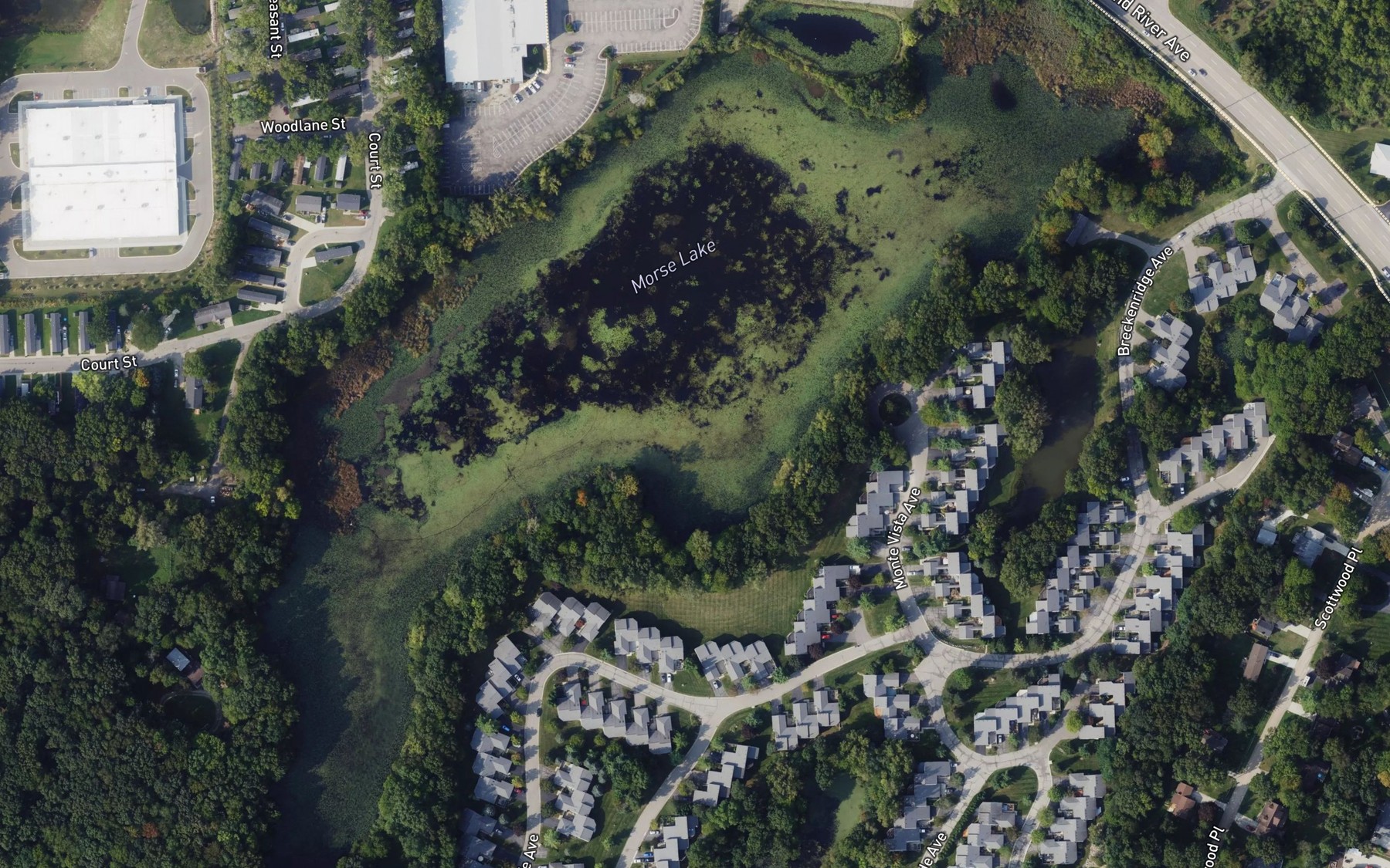 Satellite map of the Morse Lake