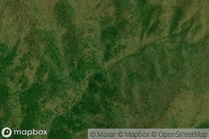 Naked Mountain Branch