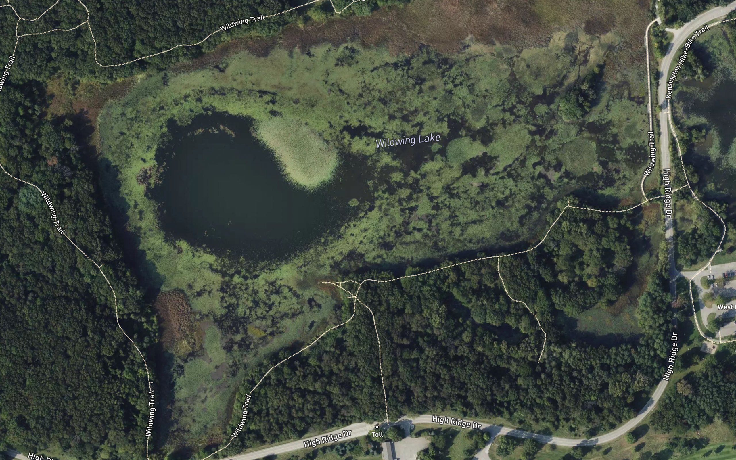 Wildwing Lake