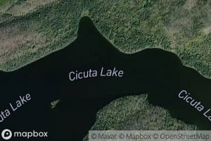 Cicuta Lake