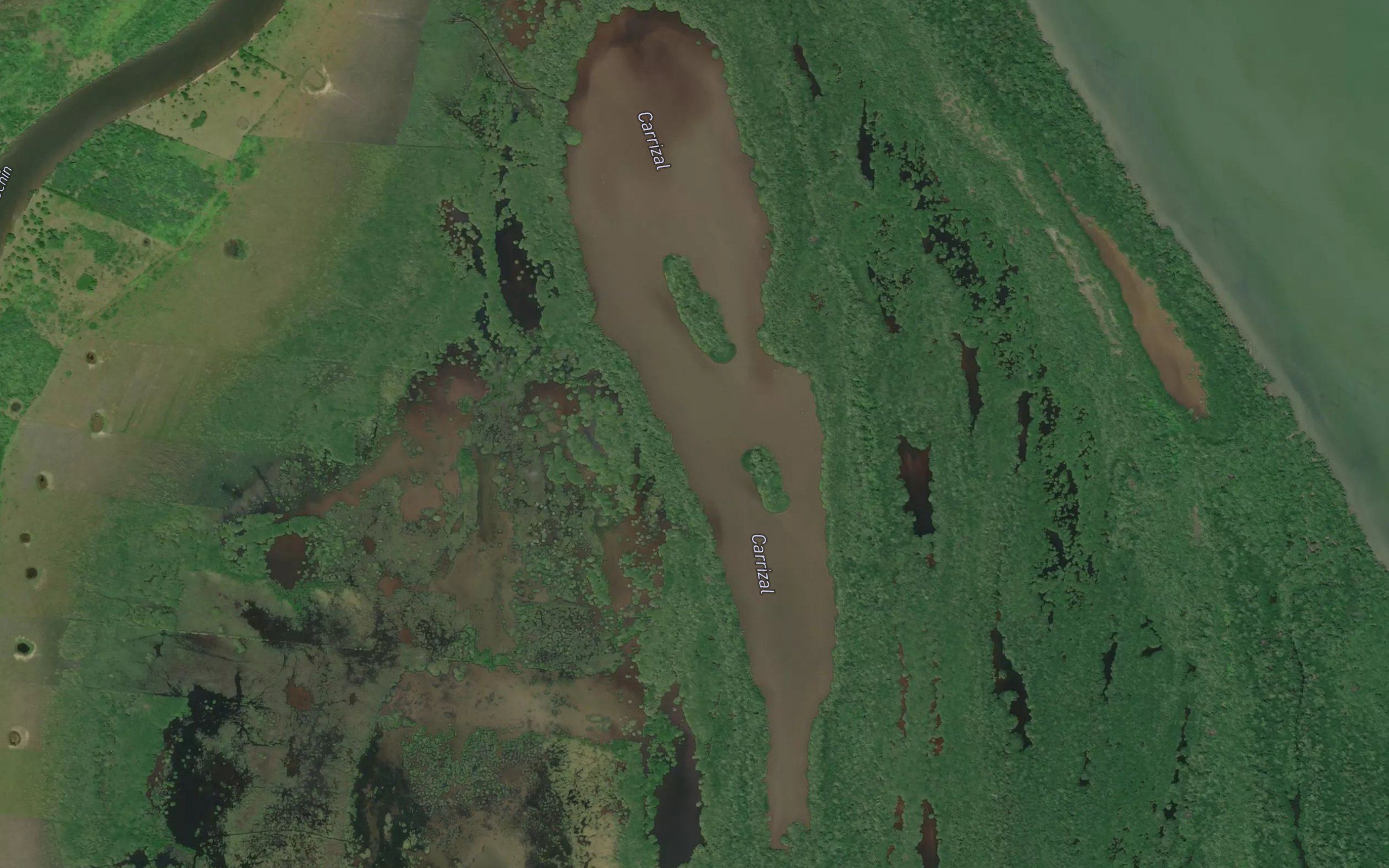 Estero Carrizal