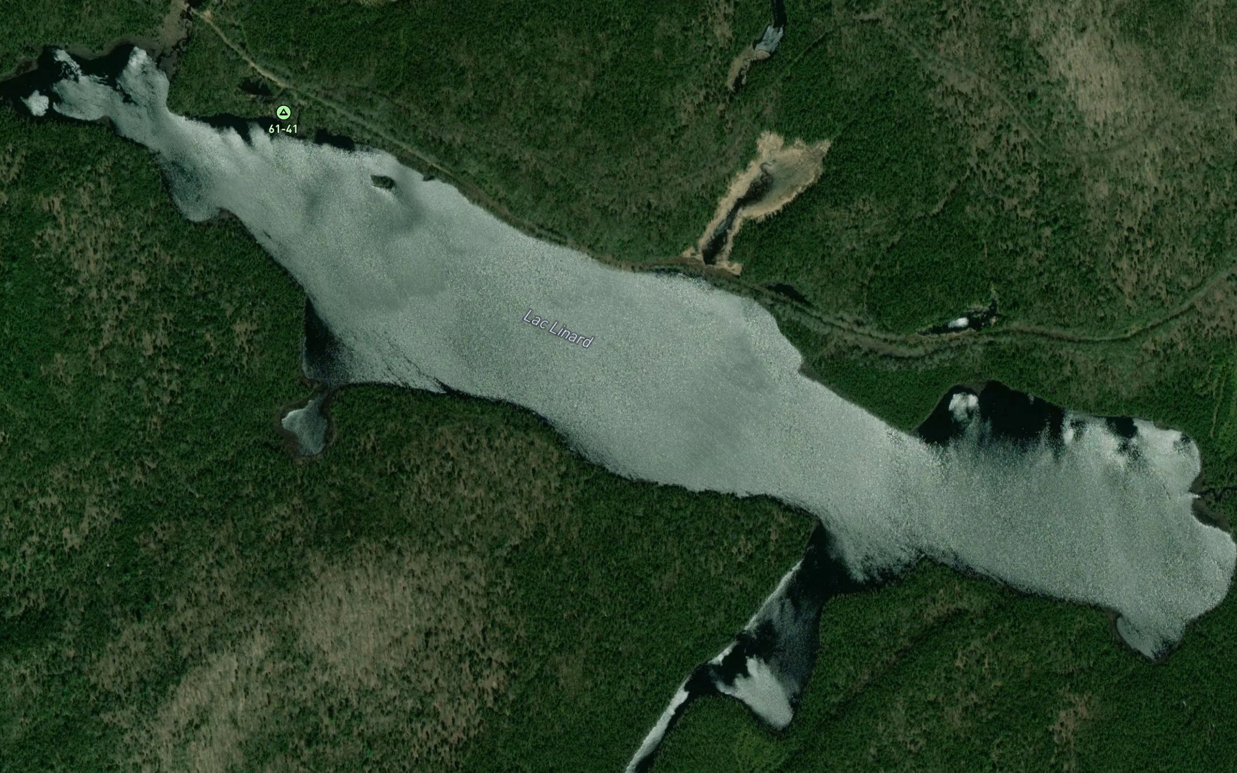 Satellite map of the Lac Linard
