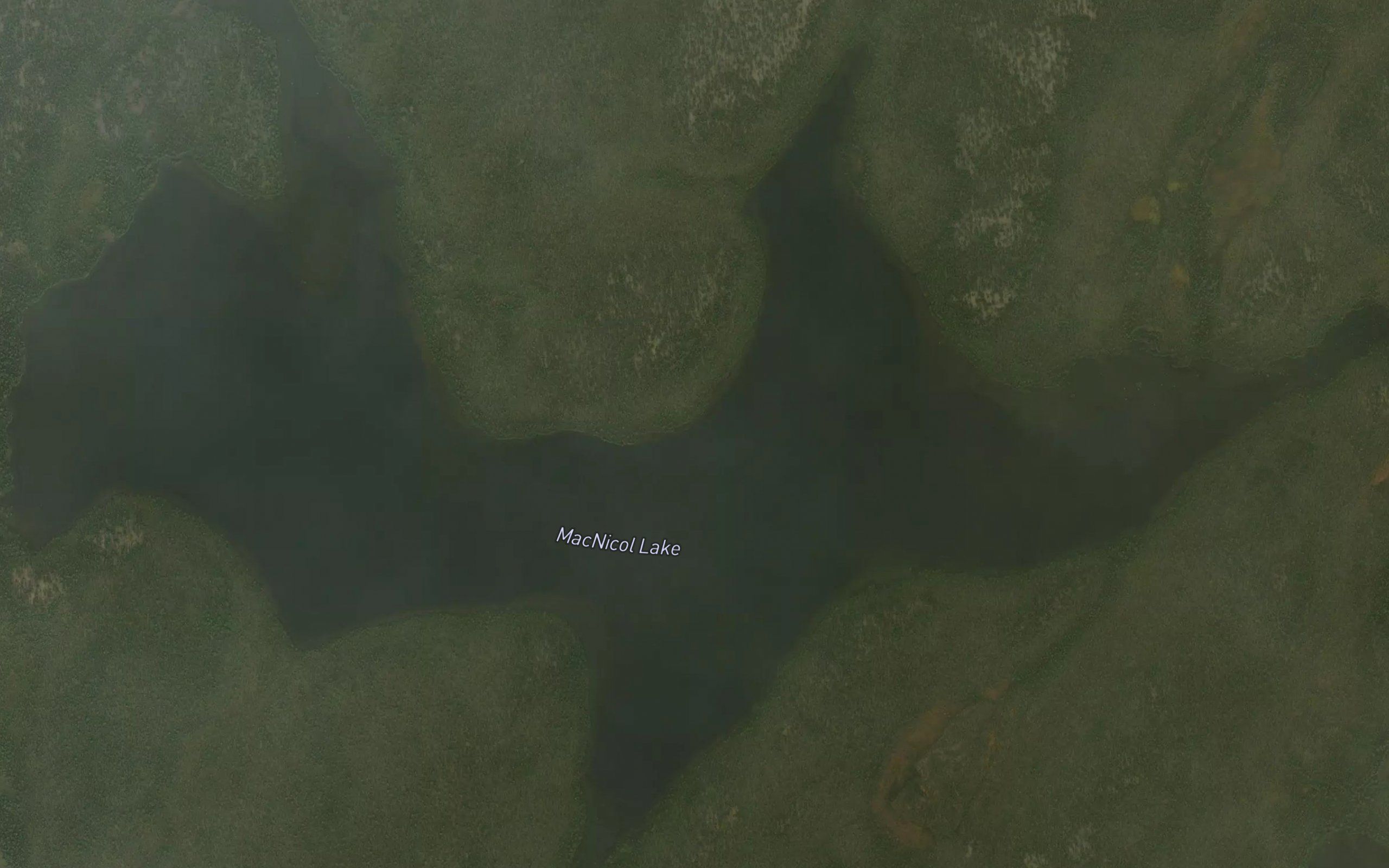 MacNicol Lake