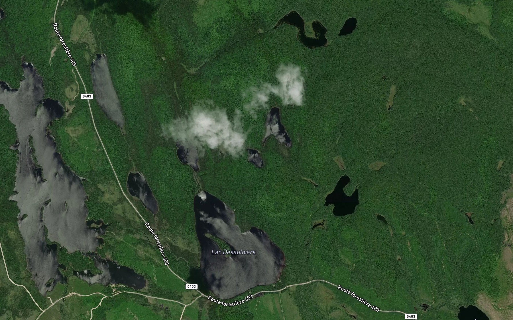 Satellite map of the Lac Canipie