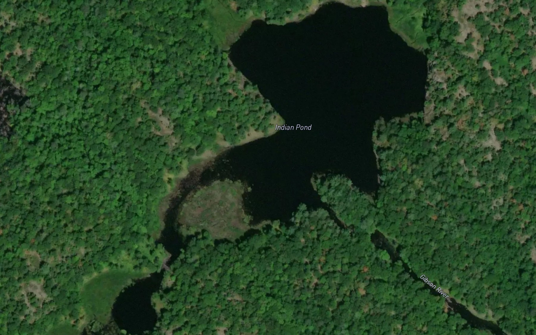 Satellite map of the Indian Pond