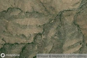 Bota Chiquita Spring