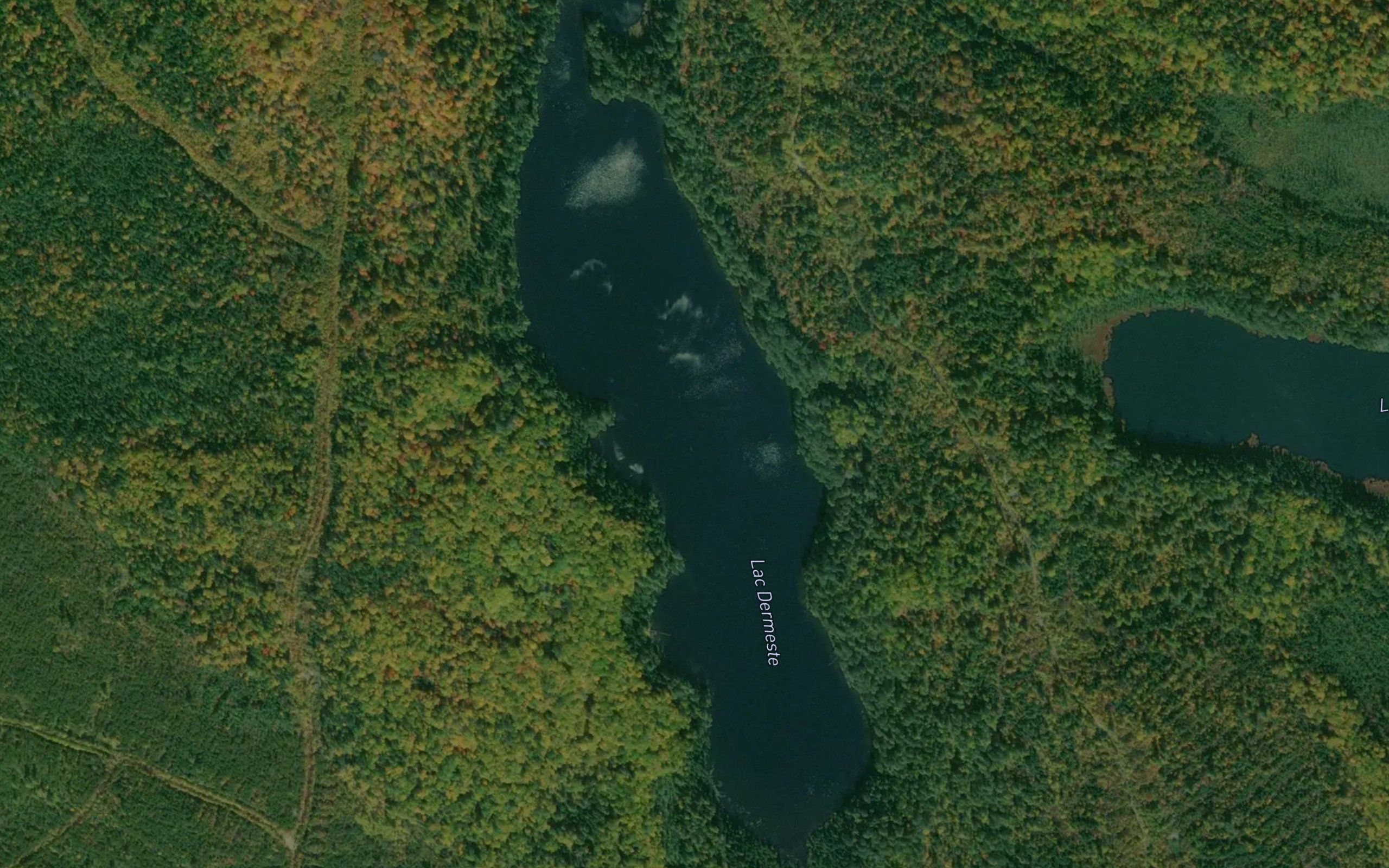 Lac Dermeste