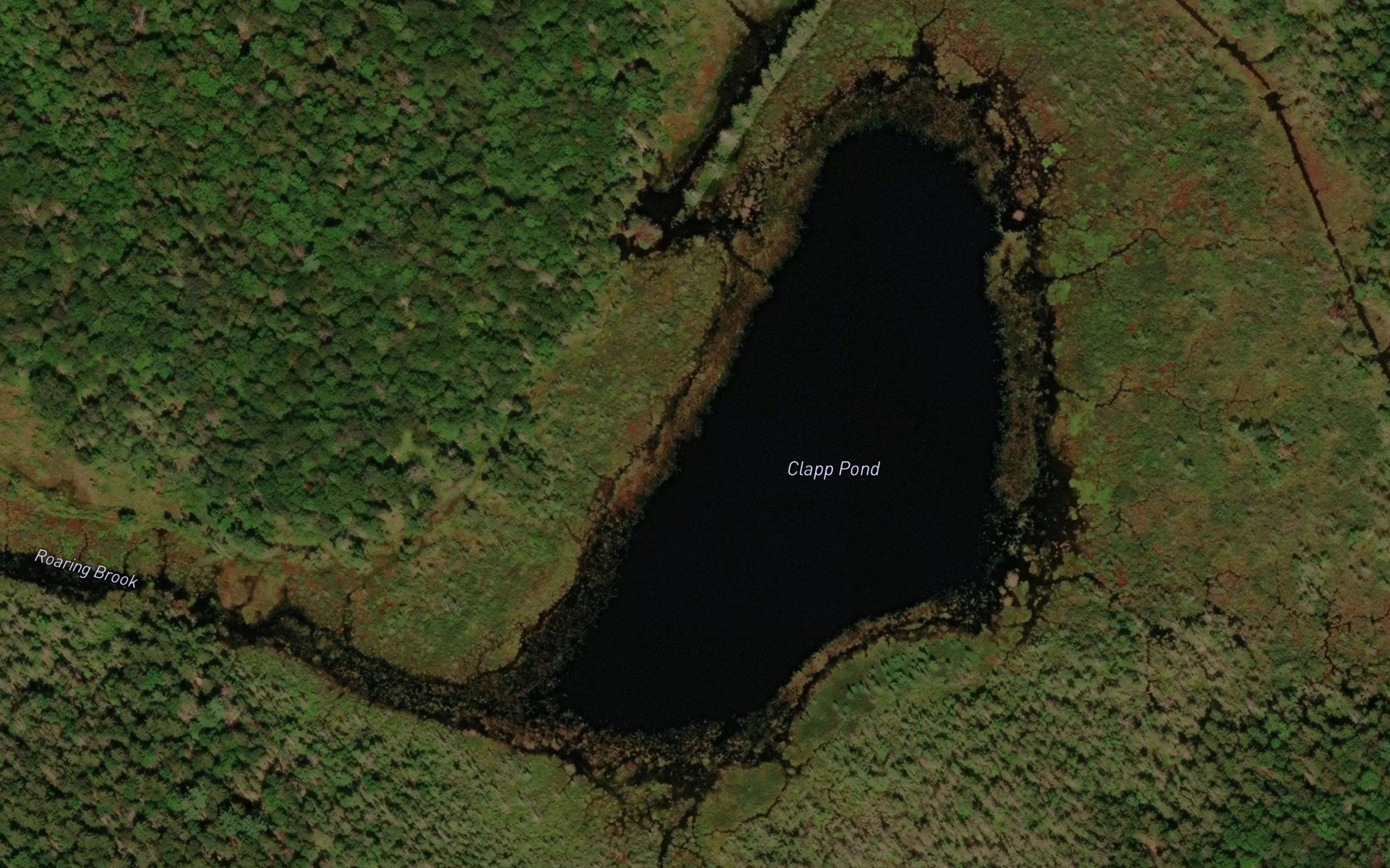 Clapp Pond