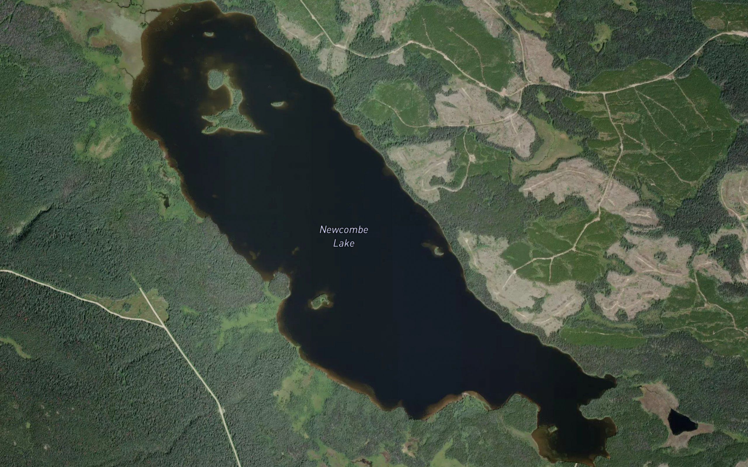 Newcombe Lake