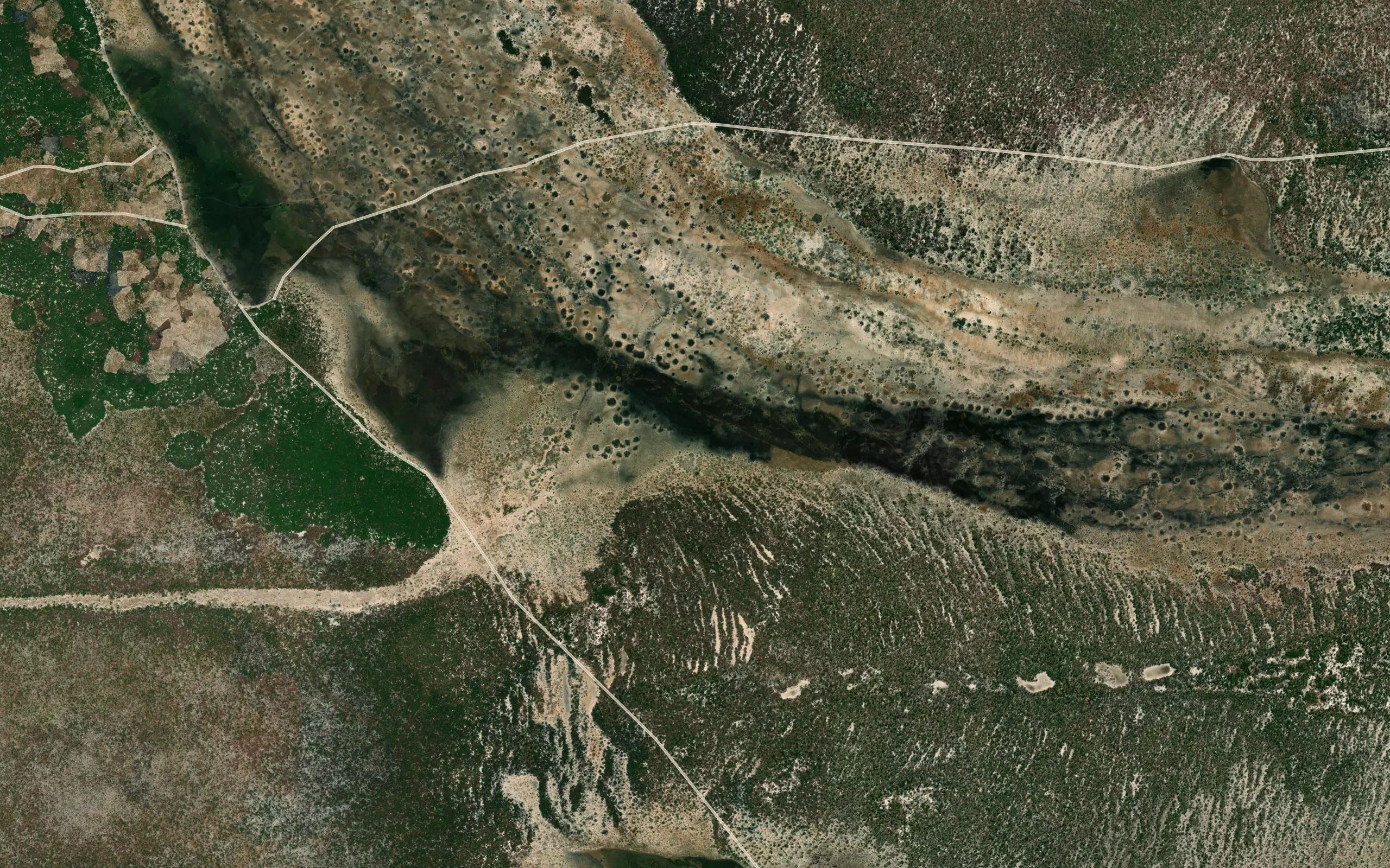 Cacoloa