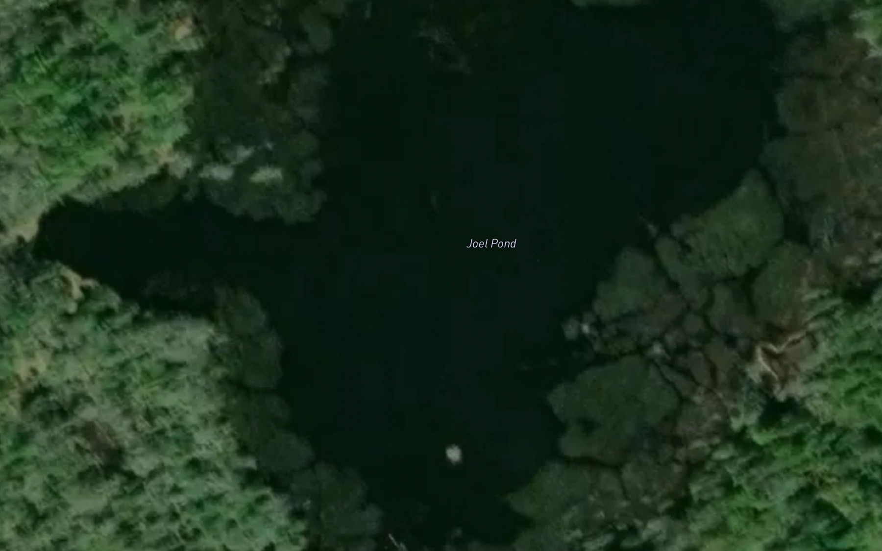 Satellite map of the Joel Pond