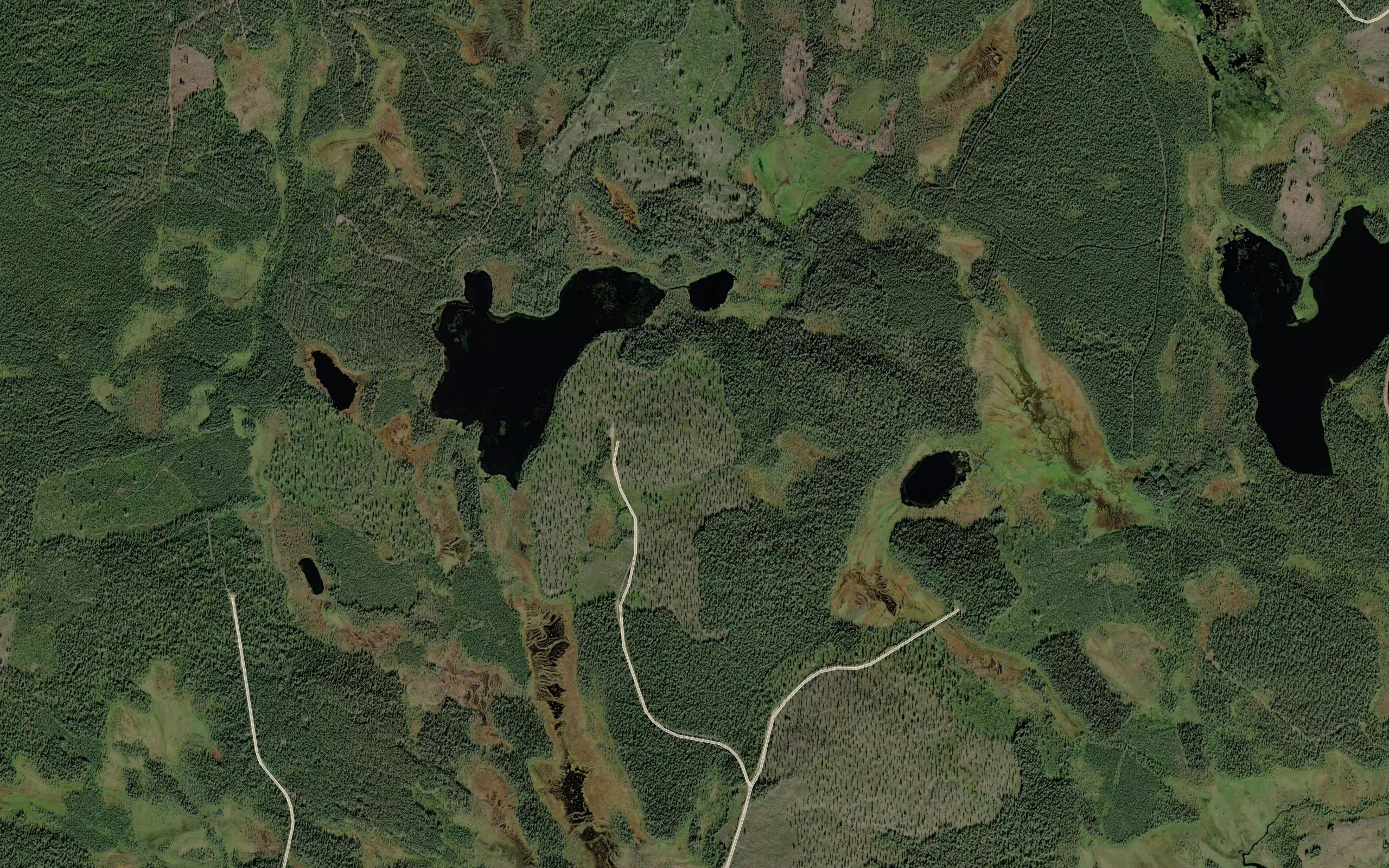 Ruuhijarvi