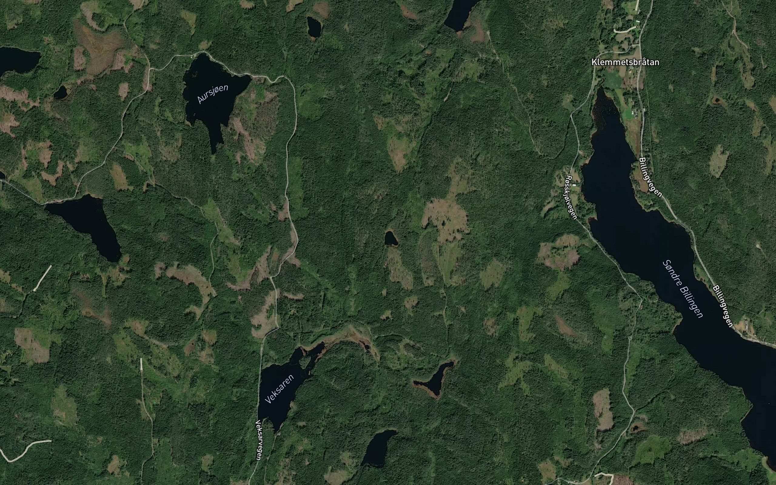 Gravlitjernet