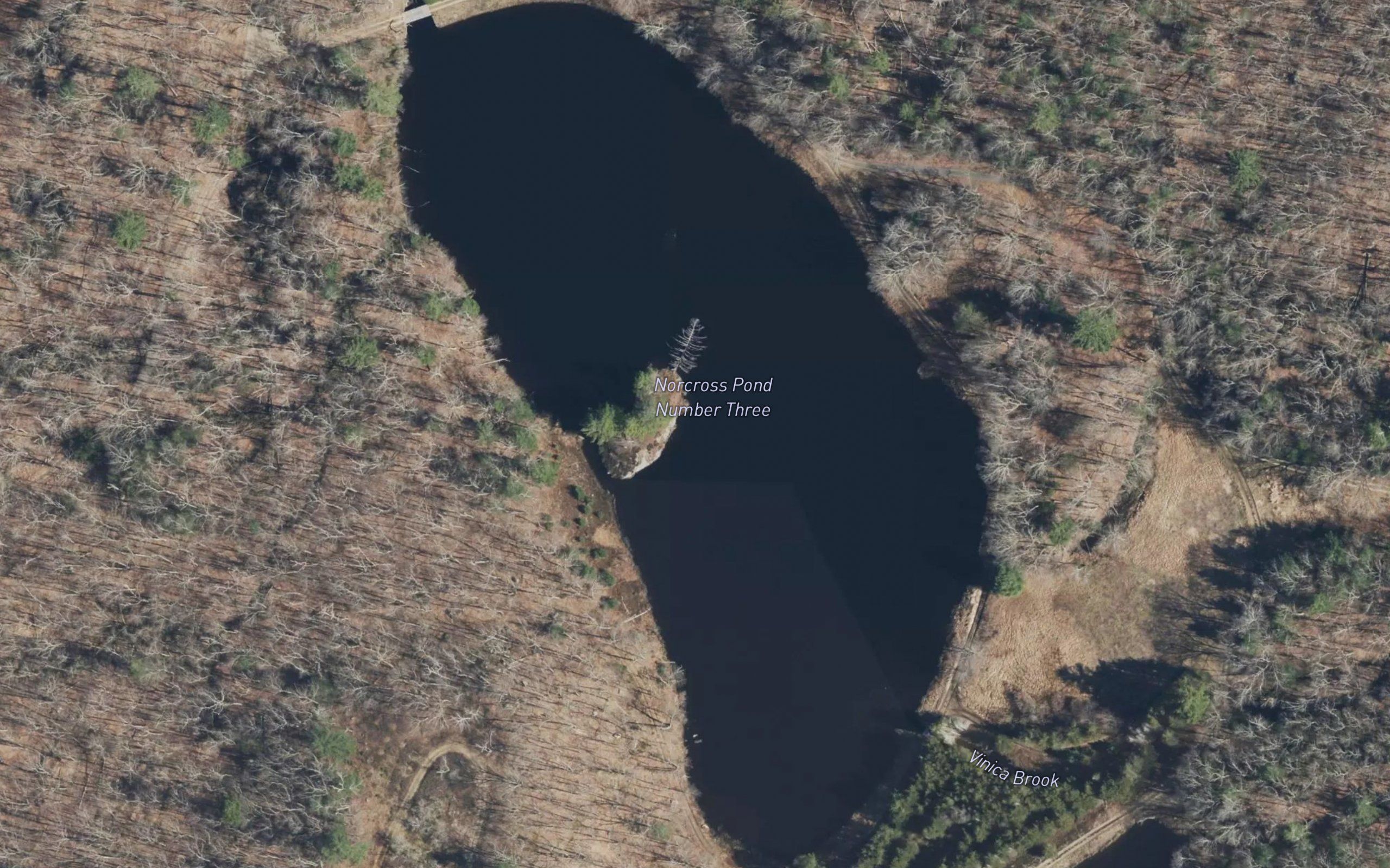 Norcross Ponds